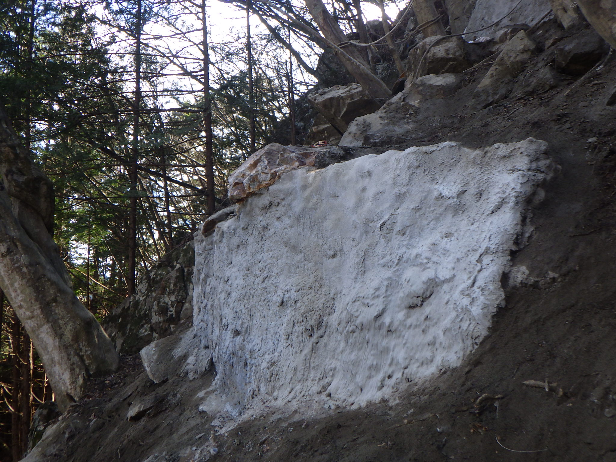 目地工 岩盤接着