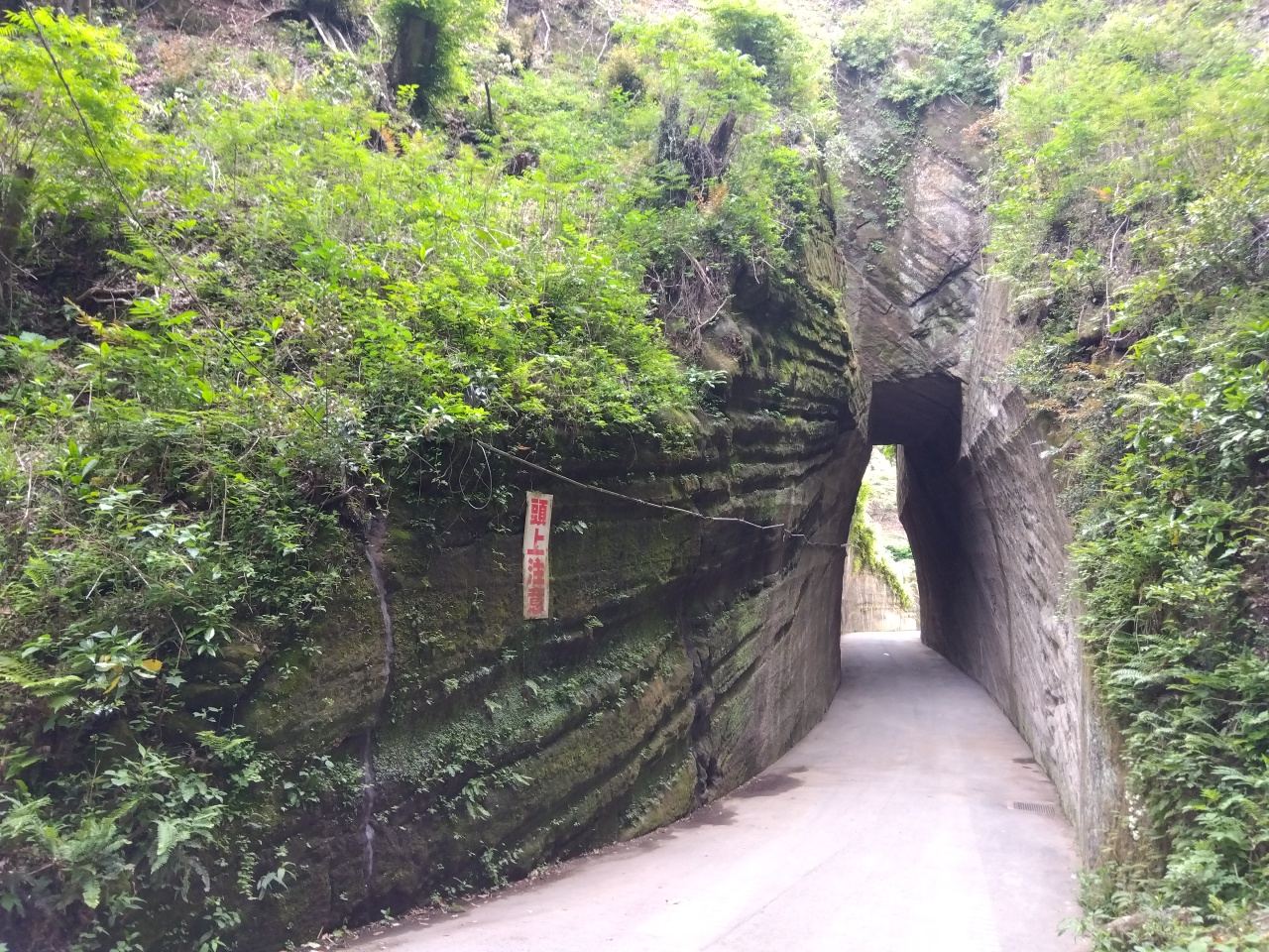 目地工 岩盤接着